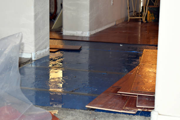 Professional Water Extraction technician working in Frederic, MI
